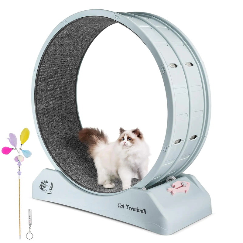 Primachen Cat Exercise Wheel for Indoor Cats 31.5