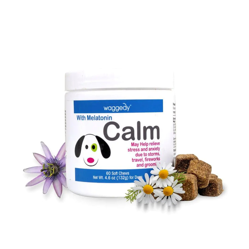 waggedy Calm with Melatonin - Calming Chews for Dogs to Manage Stress & Anxiety Relief — Pet Calming Treats for Travel Fireworks & Separation — Dog Supplements & Vitamins (60 Chews)