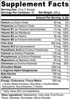 NITRIC SHOCK PRE WORKOUT SUPPLEMENT - FRUIT PUNCH